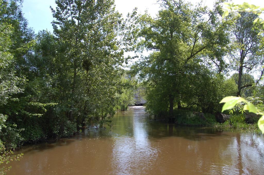 Le Moulin Neuf Bed & Breakfast Vignoux-sur-Barangeon Екстериор снимка